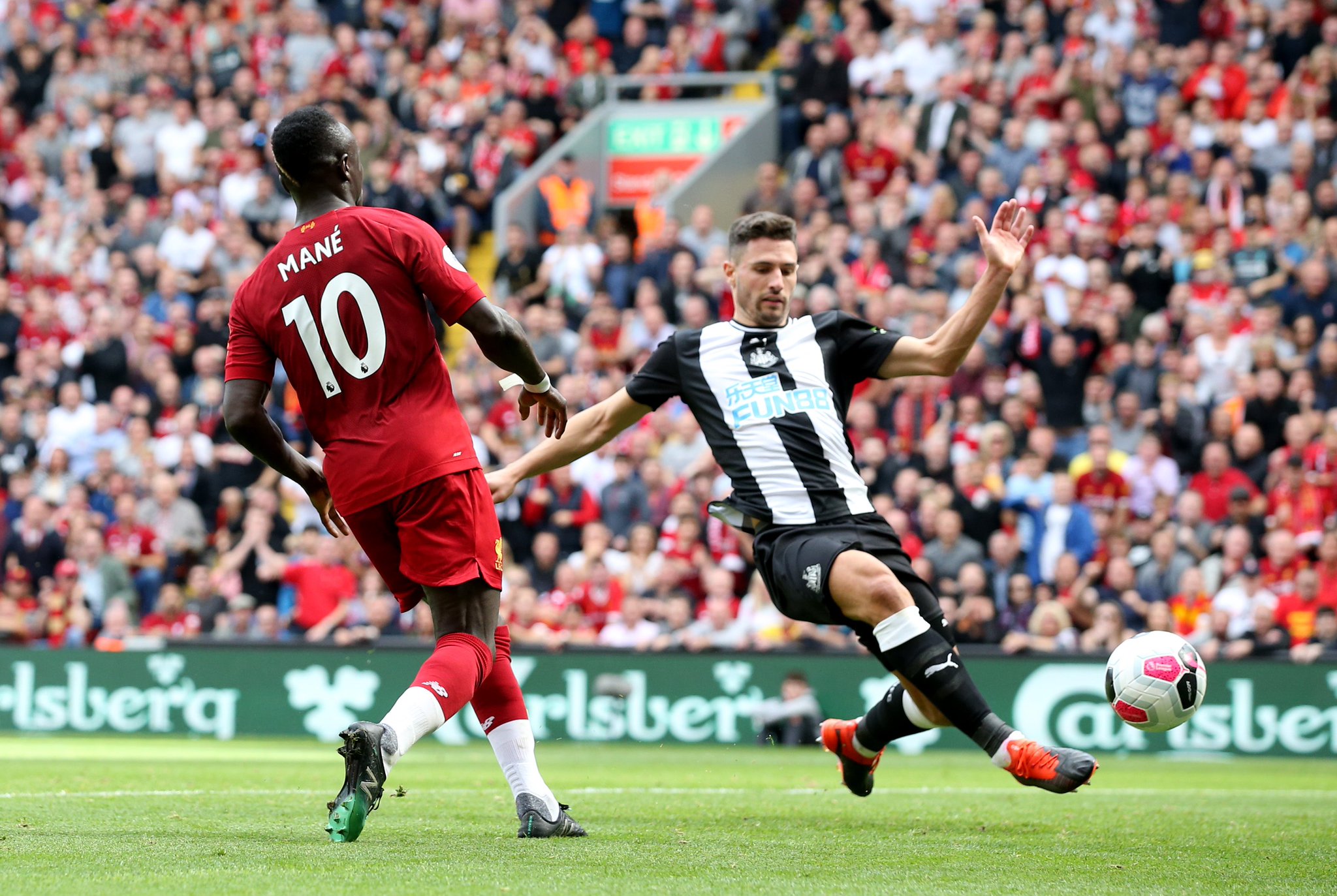 萄酒的喜愛 萄酒的喜愛